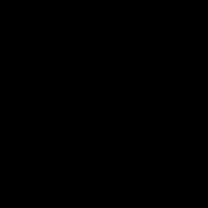 Meet your Posher, Bryan